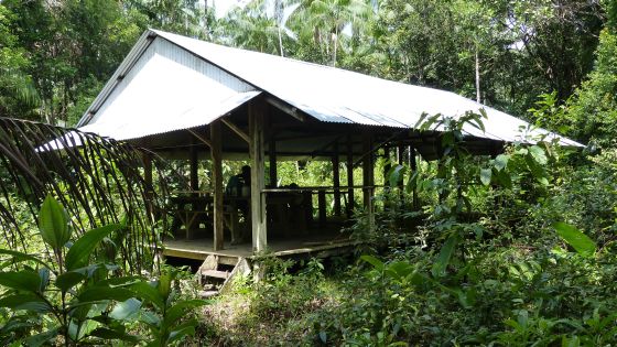 Sa maison CARBET en Amazonie; loin de tout, sans confort inutile. Photo Jean-Pierre Ive